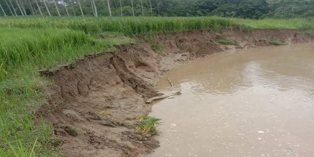 रतुवा खोलामा बाढी, १३ परिवार विस्थापित